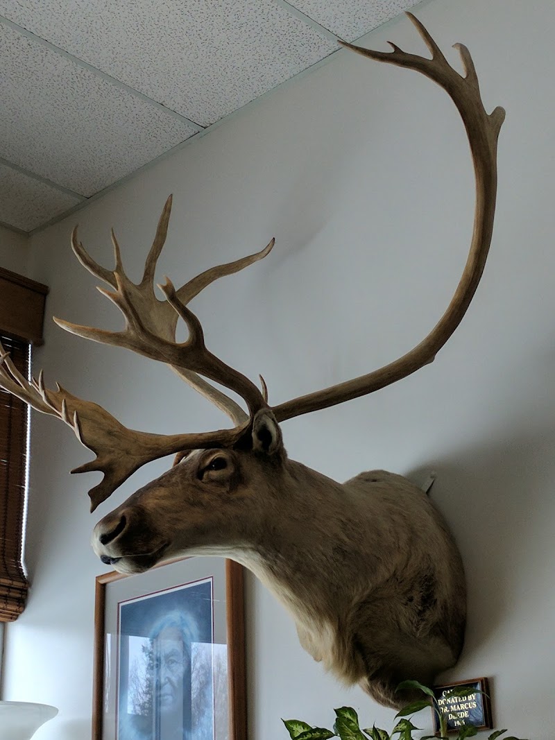 HERITAGE PLACE nursing home in SOLDOTNA, AK - Photo 3 of 5