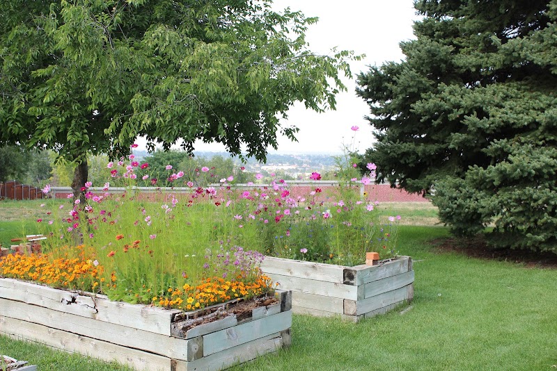 ARBOR VIEW CARE CENTER nursing home in ARVADA, CO - Photo 5 of 9