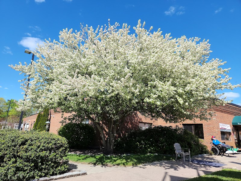 HAVENCARE AT VALERIE MANOR nursing home in TORRINGTON, CT - Photo 4 of 5