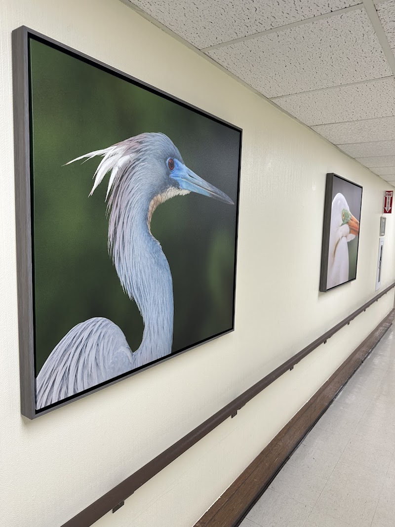 PORT ST LUCIE REHABILITATION AND HEALTHCARE nursing home in PORT SAINT LUCIE, FL - Photo 5 of 5