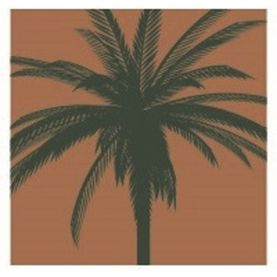 PALM GARDEN OF JACKSONVILLE nursing home in JACKSONVILLE, FL - Photo 5 of 5