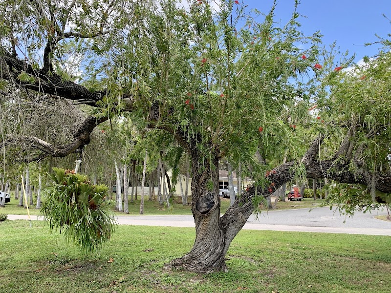 HIDDEN LAKES SENIOR LIVING COMMUNITY nursing home in VERO BEACH, FL - Photo 4 of 10