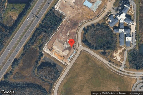 BLUE HERON HEALTH AND REHABILITATION nursing home in WESLEY CHAPEL, FL