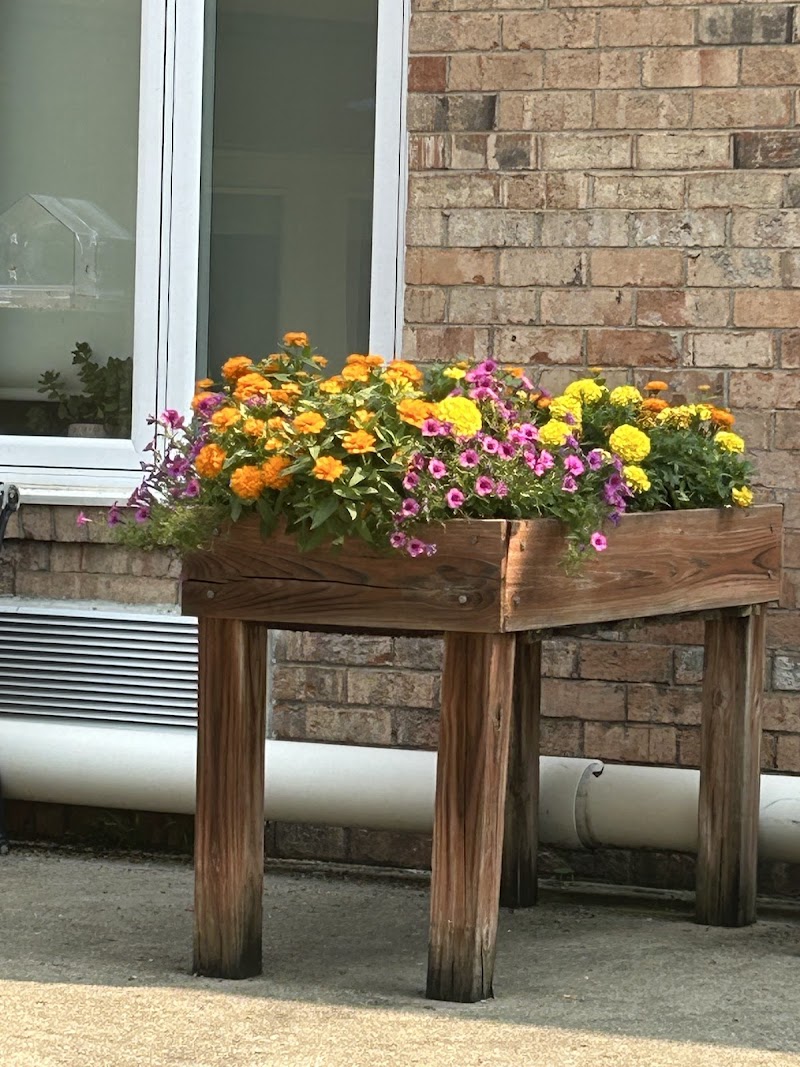 WYNSCAPE HEALTH & REHAB nursing home in WHEATON, IL - Photo 4 of 7