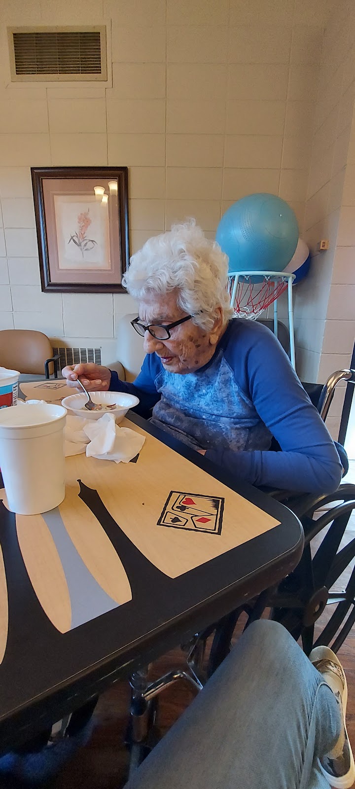 LA SALLE COUNTY NURSING HOME nursing home in OTTAWA, IL - Photo 3 of 6