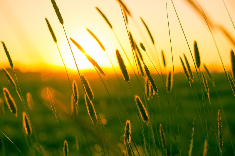 PRAIRIE SUNSET HOME INC nursing home in PRETTY PRAIRIE, KS - Photo 2 of 7