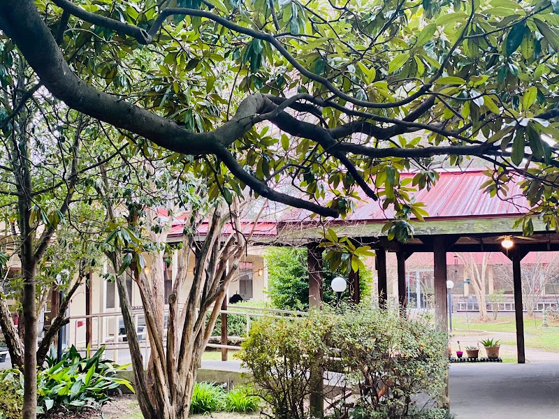 PIERREMONT HEALTHCARE CENTER nursing home in SHREVEPORT, LA - Photo 2 of 5