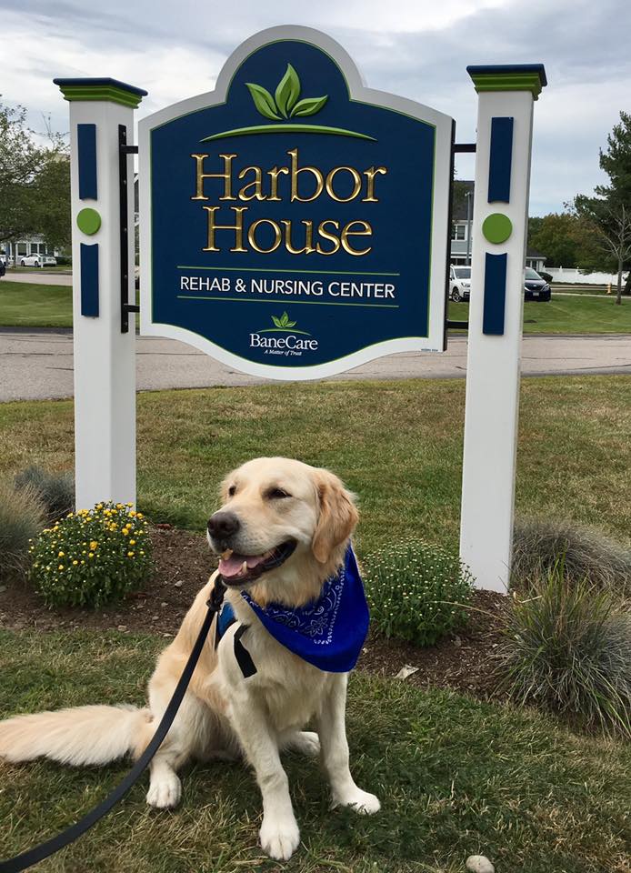 HARBOR HOUSE NURSING & REHABILITATION CENTER nursing home in HINGHAM, MA - Photo 4 of 10
