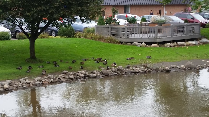 Mission Point Nursing & Physical Rehabilitation Ce nursing home in Grandville, MI - Photo 4 of 5