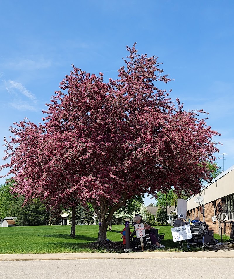 Hazel I Findlay Country Manor nursing home in Saint Johns, MI - Photo 4 of 10