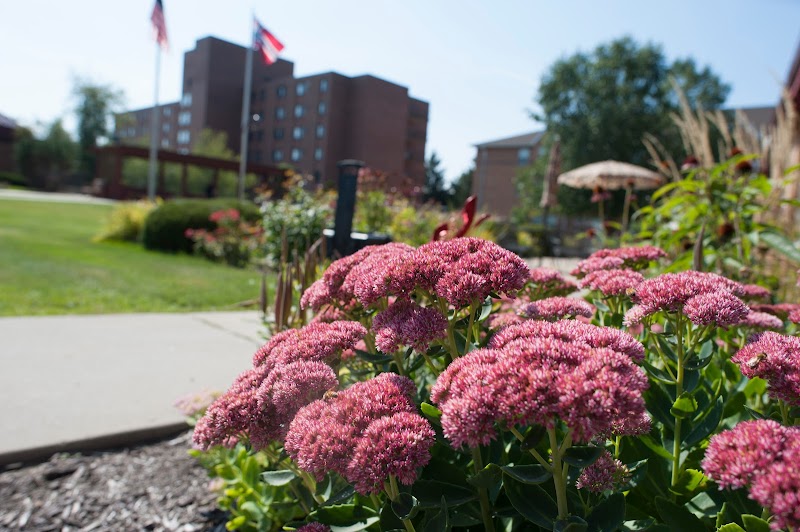 Lyngblomsten Care Center nursing home in SAINT PAUL, MN - Photo 5 of 5
