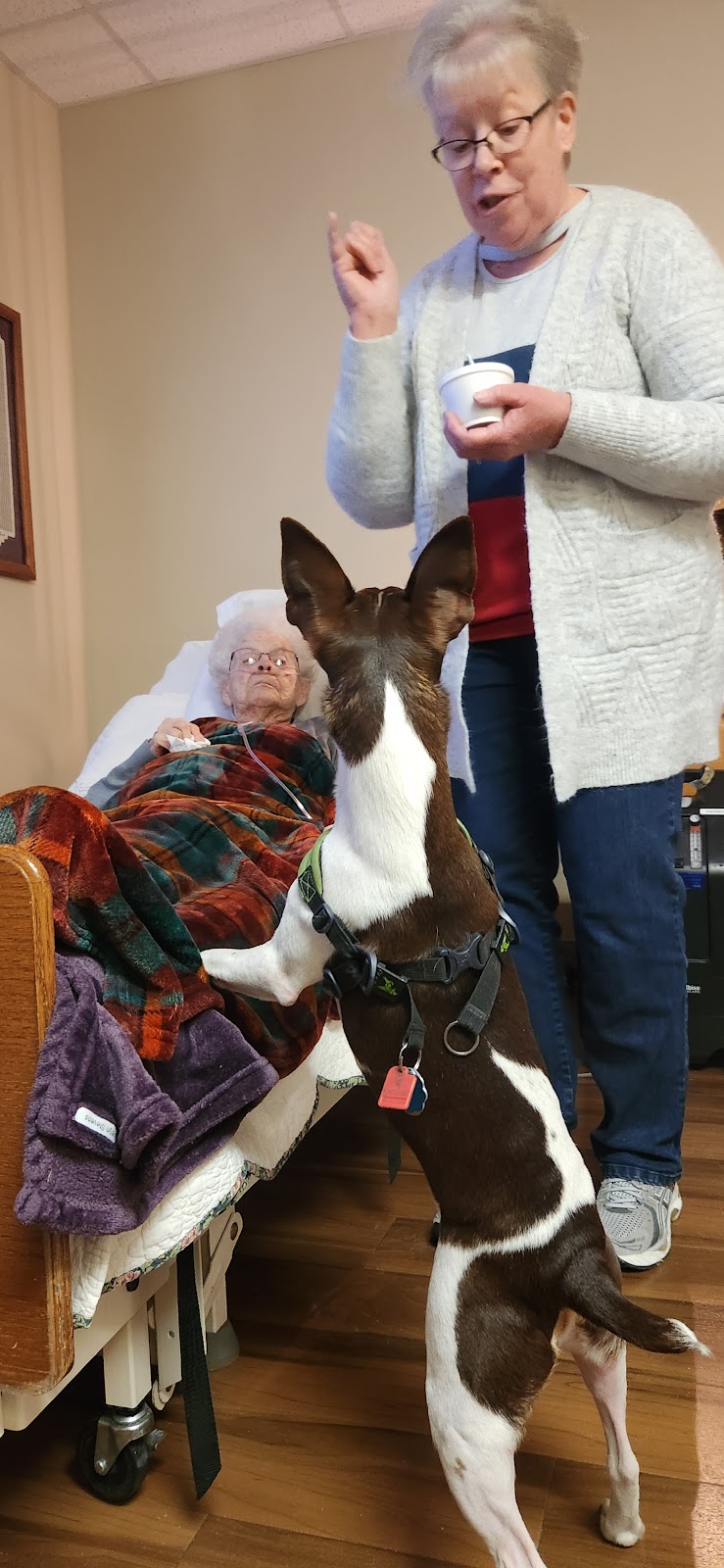 Community Pride Care Center nursing home in Battle Creek, NE - Photo 4 of 10