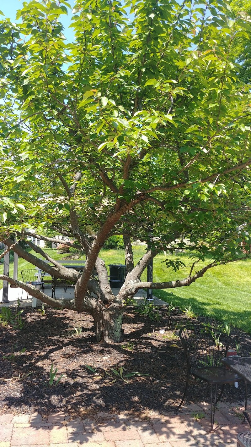 FALLSVIEW NURSING AND REHABILITATION CENTER nursing home in BOONTON, NJ - Photo 5 of 10