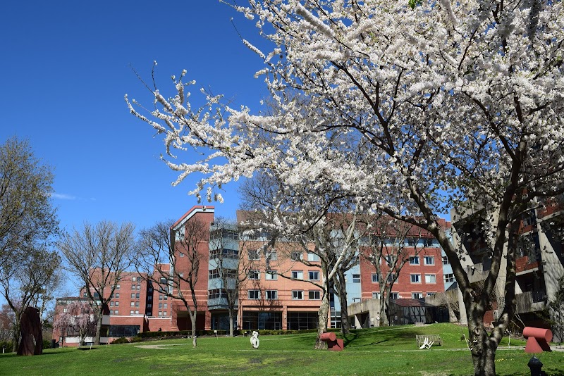 HEBREW HOME FOR THE AGED AT RIVERDALE nursing home in RIVERDALE, NY - Photo 4 of 8