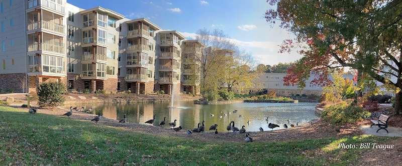 Carolina Village Inc nursing home in Hendersonville, NC - Photo 2 of 10