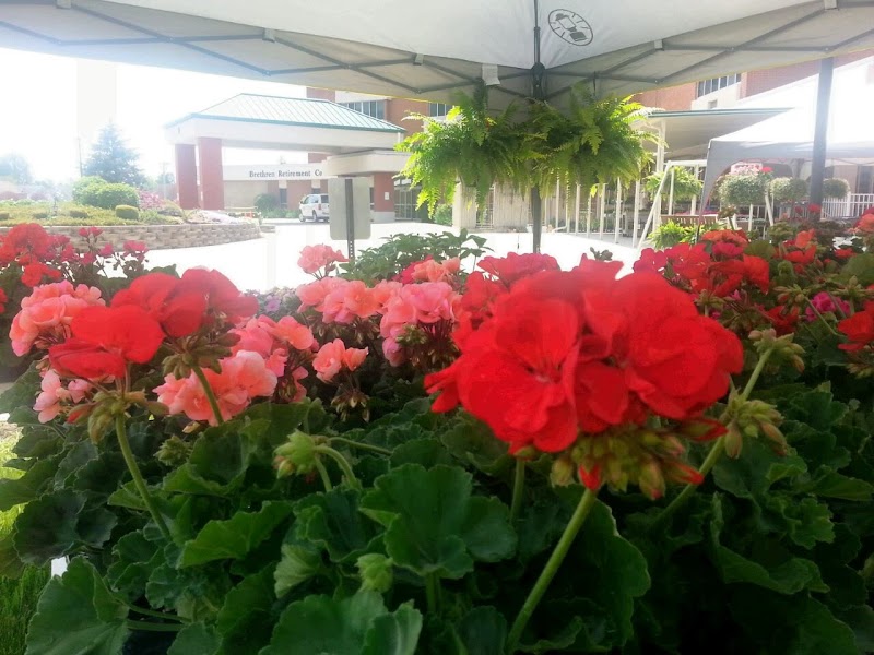 BRETHREN RETIREMENT COMMUNITY nursing home in GREENVILLE, OH - Photo 4 of 5