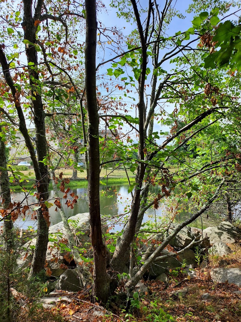 Silver Creek Rehab and Healthcare Center nursing home in Bristol, RI - Photo 5 of 5