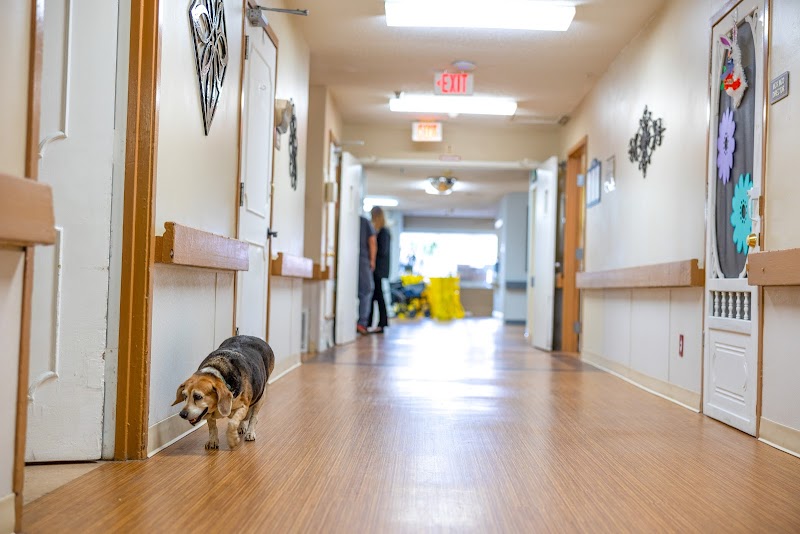 HURST PLAZA NURSING & REHAB nursing home in HURST, TX - Photo 3 of 10