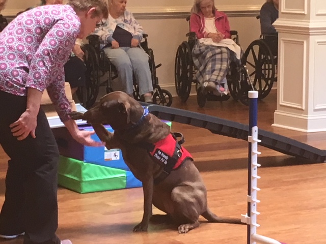 YORK NURSING & REHABILITATION  CENTER nursing home in YORKTOWN, VA - Photo 3 of 5