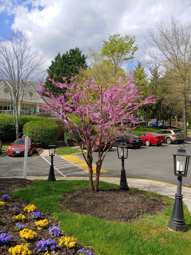 OUR LADY OF PEACE INC nursing home in CHARLOTTESVILLE, VA - Photo 4 of 10