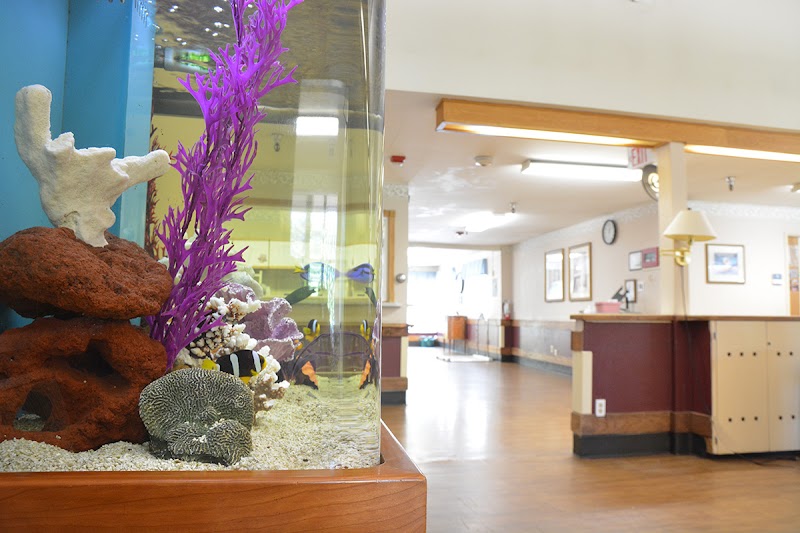 BENSON HEIGHTS REHABILITATION CENTER nursing home in KENT, WA - Photo 5 of 5