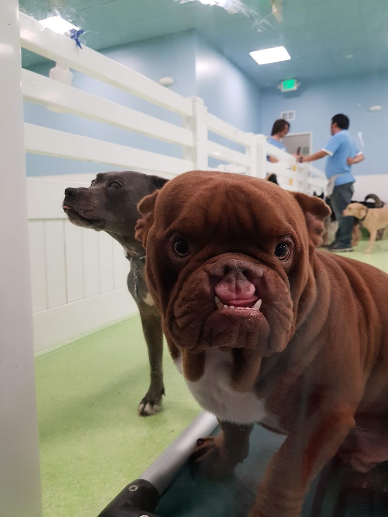 LOTUS CARE CENTER nursing home in LOS ANGELES, CA - Photo 5 of 10