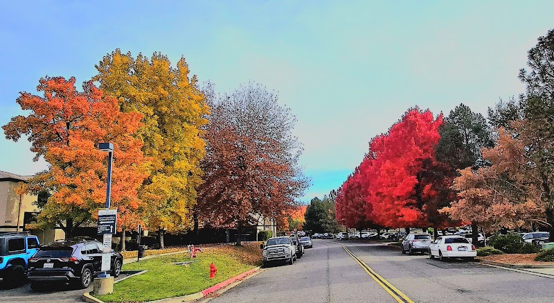 GOLD COUNTRY HEALTH CENTER nursing home in PLACERVILLE, CA - Photo 3 of 5