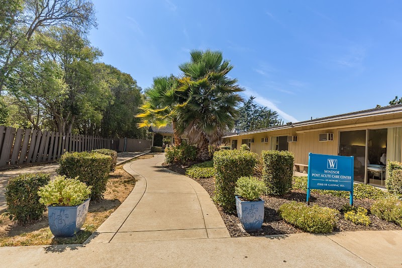 WINDSOR POST-ACUTE CARE CENTER OF HAYWARD nursing home in HAYWARD, CA - Photo 3 of 10